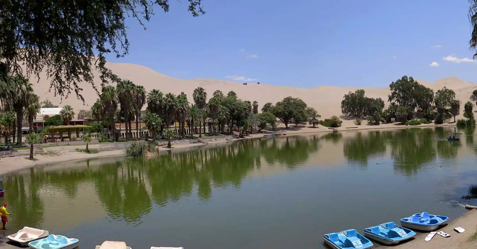 Ica, Paracas and Huacachina